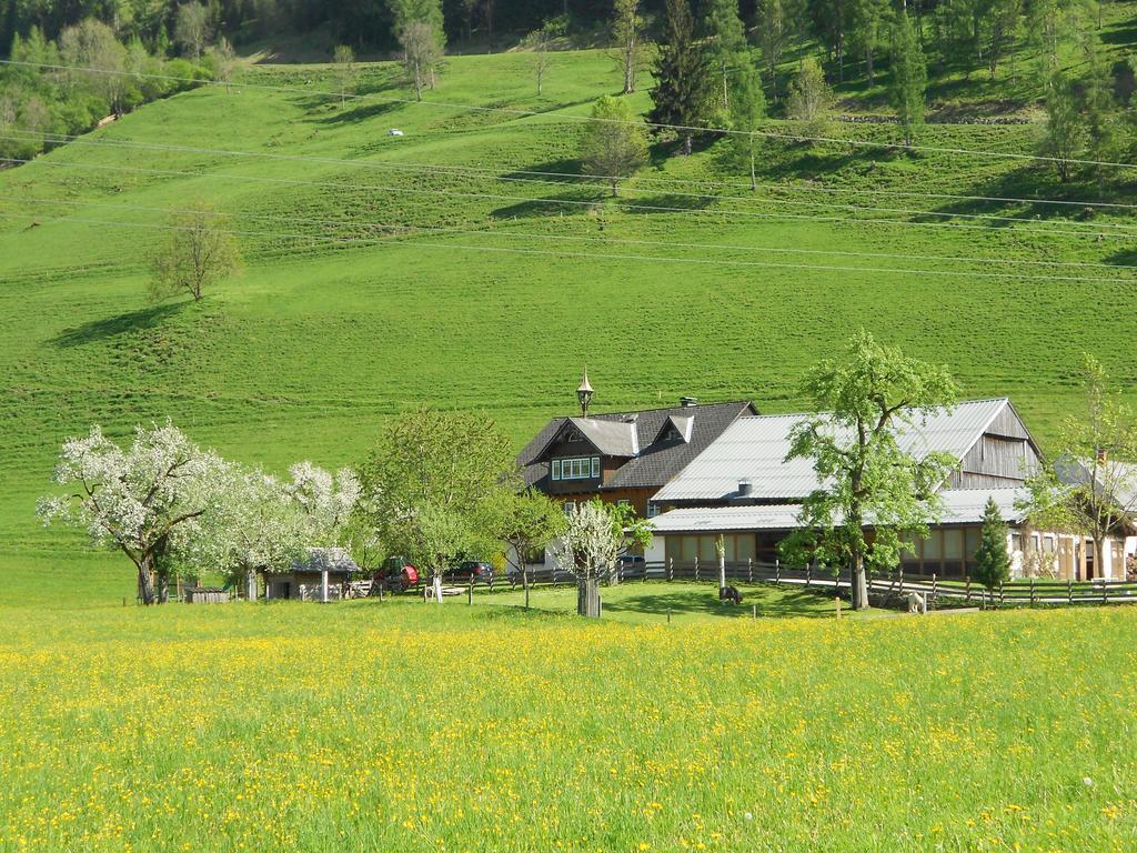 Weitgasserhof Schladming Eksteriør billede