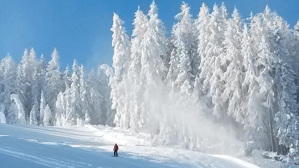 Weitgasserhof Schladming Eksteriør billede